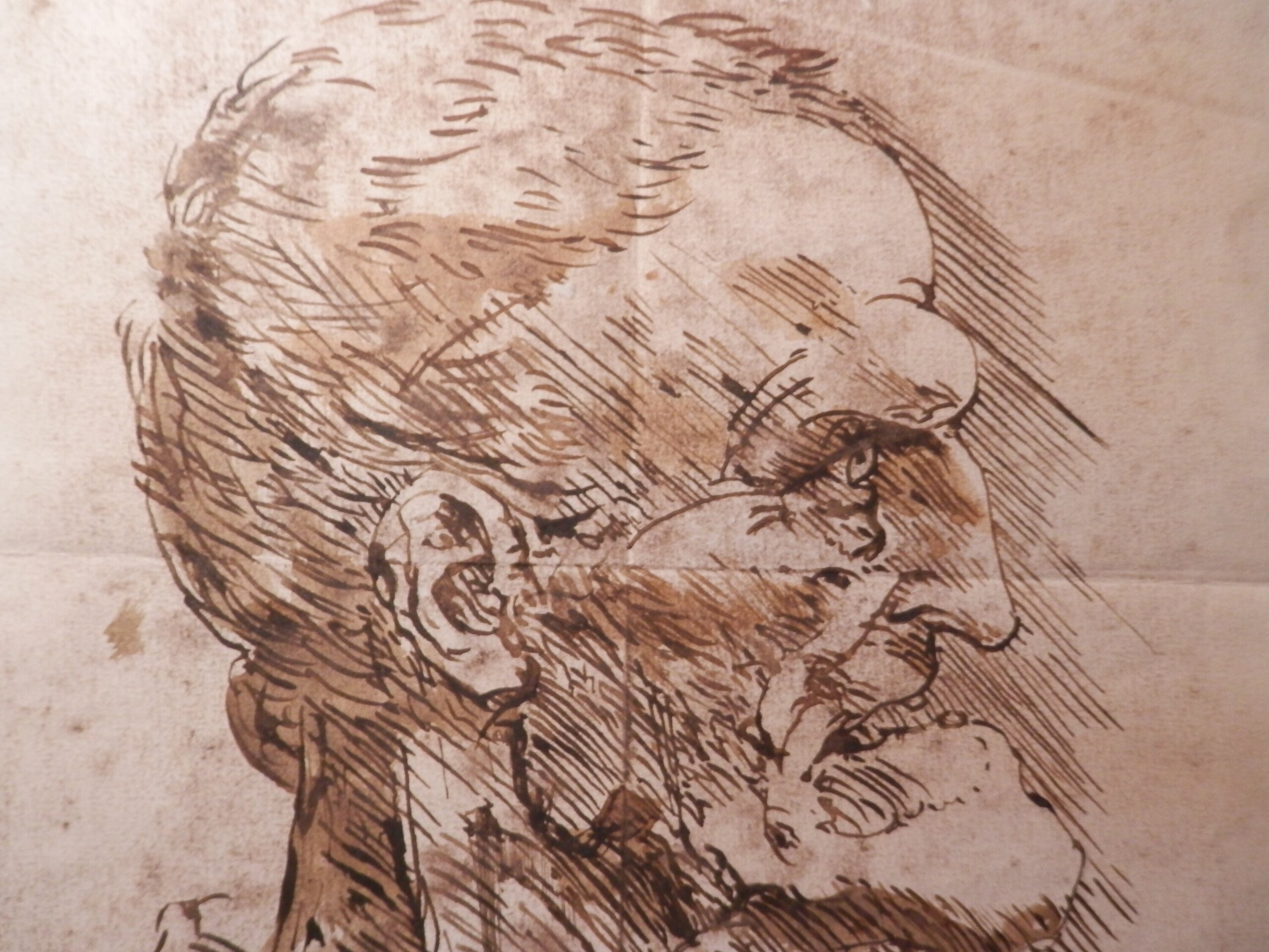 PERFIL GROTESTO (reproducción original de Leonardo da Vinci) 29 x 20 - 2